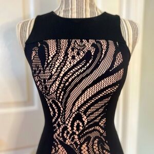 Sleek BCBGMAXAZRIA Black and Nude Lace Detail Bodycon Midi Dress